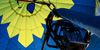 Balloon Picture