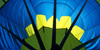 Balloon Picture